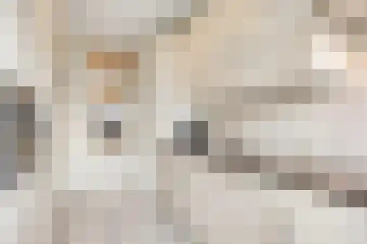 Zwanensingel 22 Velp thumbnail 24