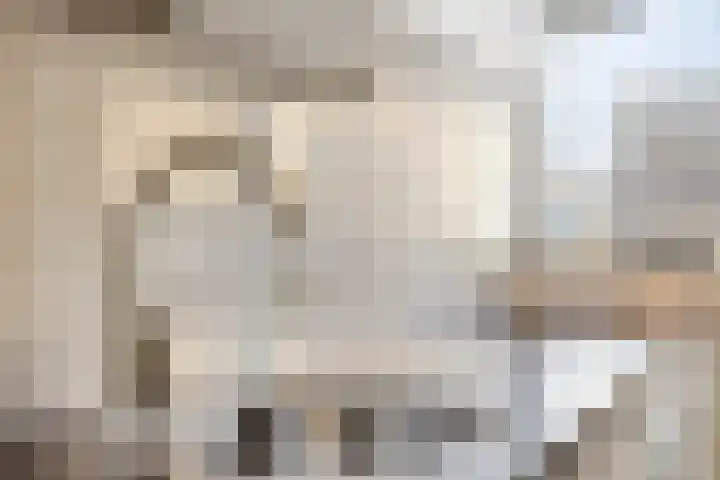 Zwanensingel 22 Velp thumbnail 25