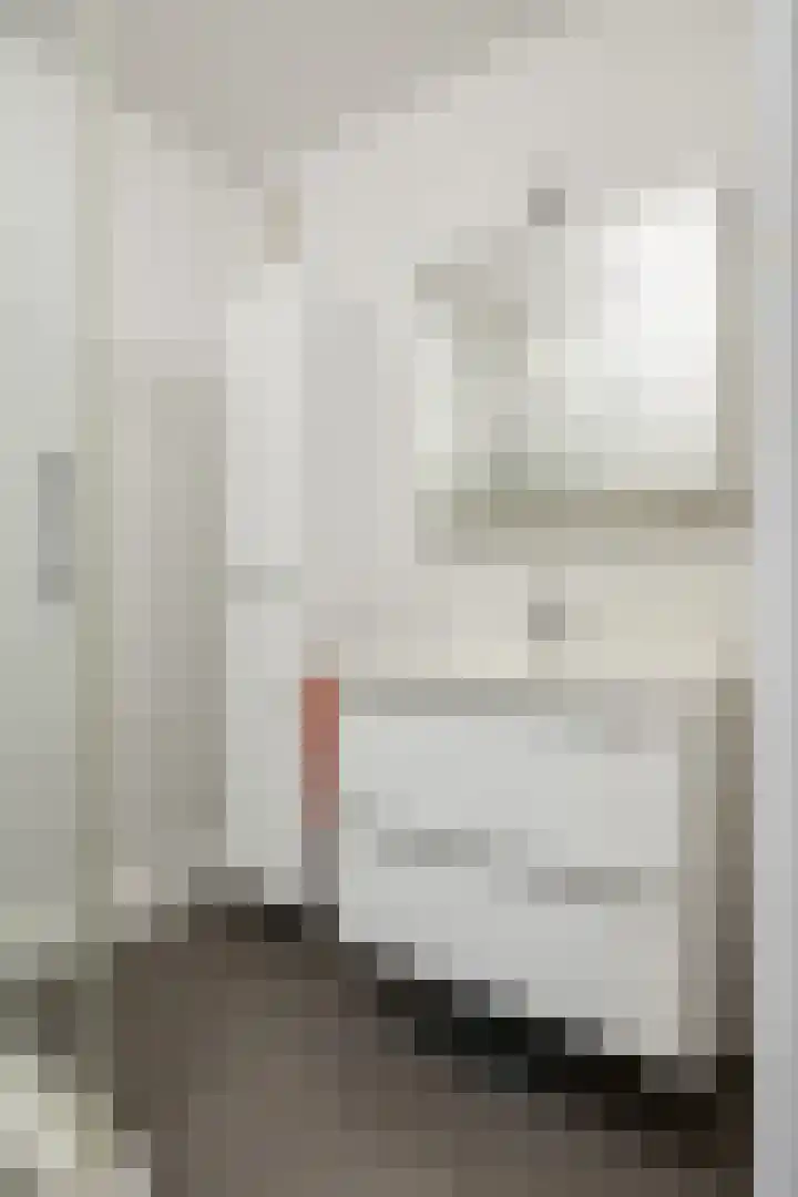 Zwanensingel 22 Velp thumbnail 31