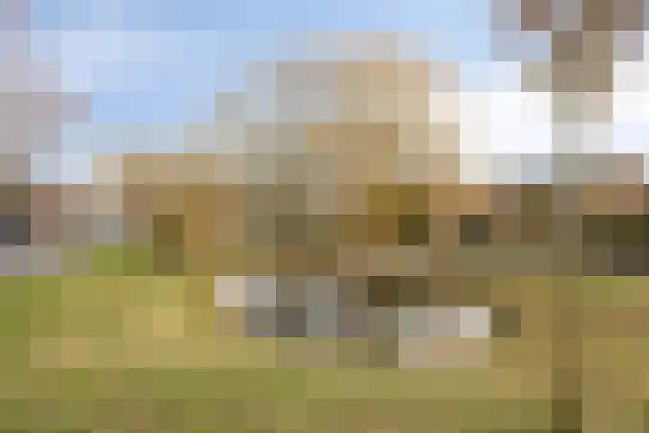 Zwanensingel 22 Velp thumbnail 36