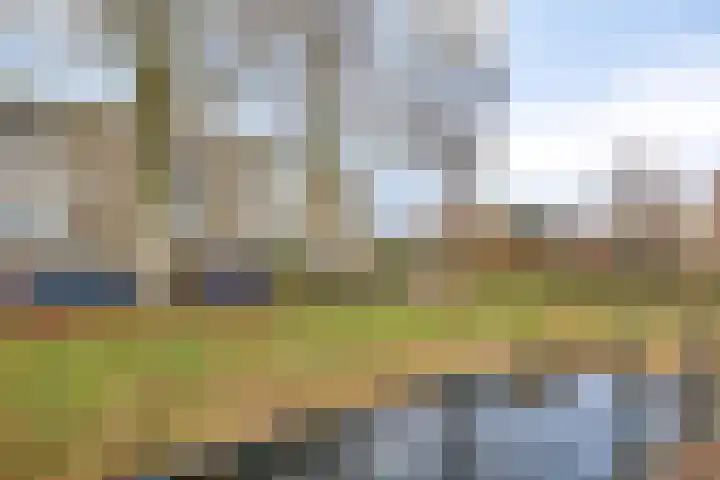 Zwanensingel 22 Velp thumbnail 37