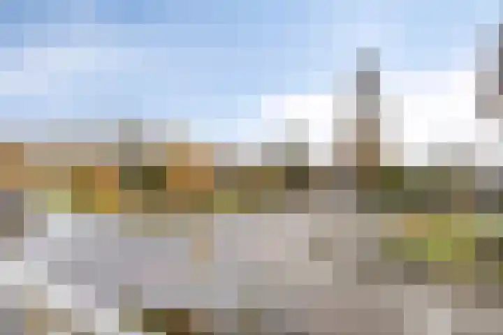 Zwanensingel 22 Velp thumbnail 4