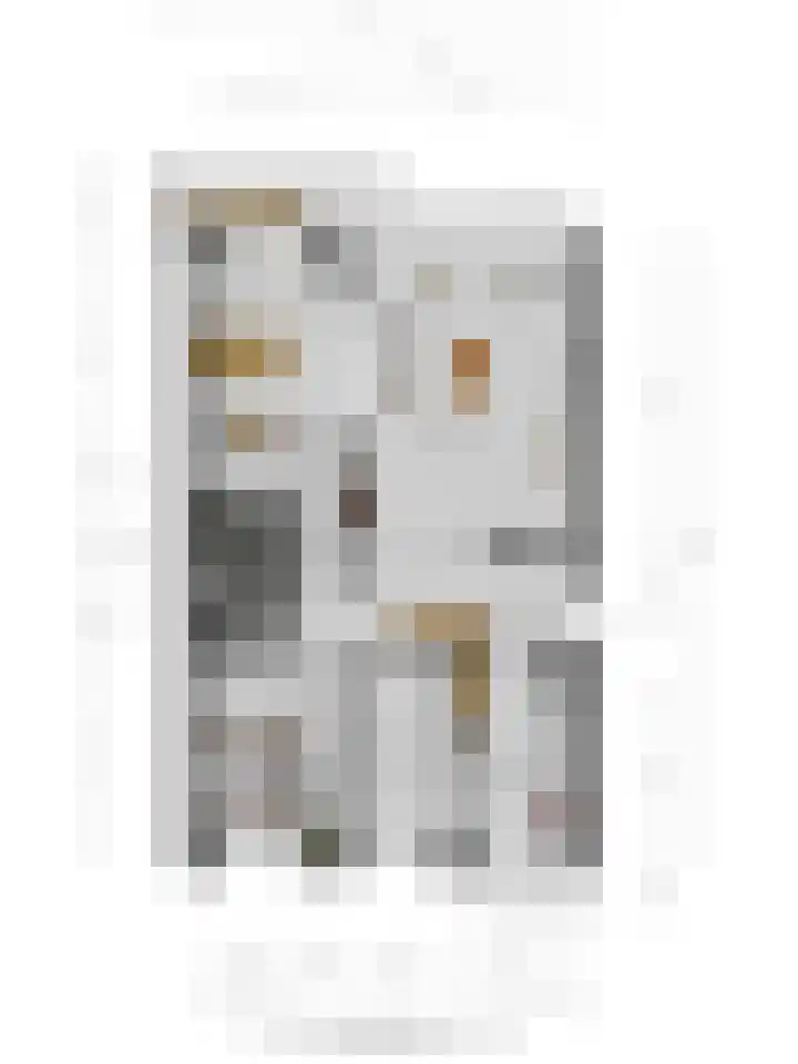 Zwanensingel 22 Velp thumbnail 41