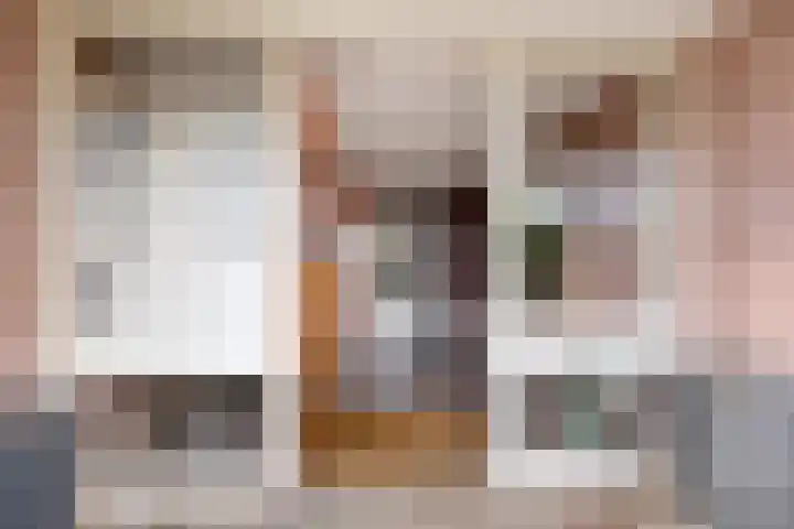 Zwanensingel 22 Velp thumbnail 5