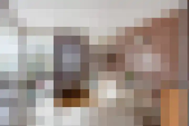 Zwanensingel 22 Velp thumbnail 6