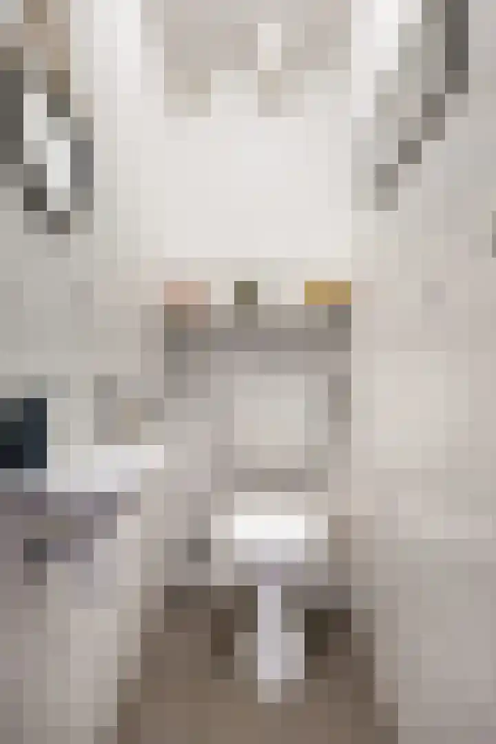 Zwanensingel 22 Velp thumbnail 8