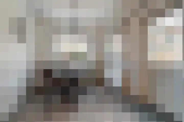 Zwanensingel 283 Wijchen thumbnail 17