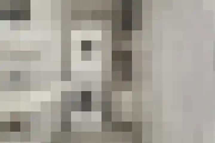 Zwanensingel 283 Wijchen thumbnail 33