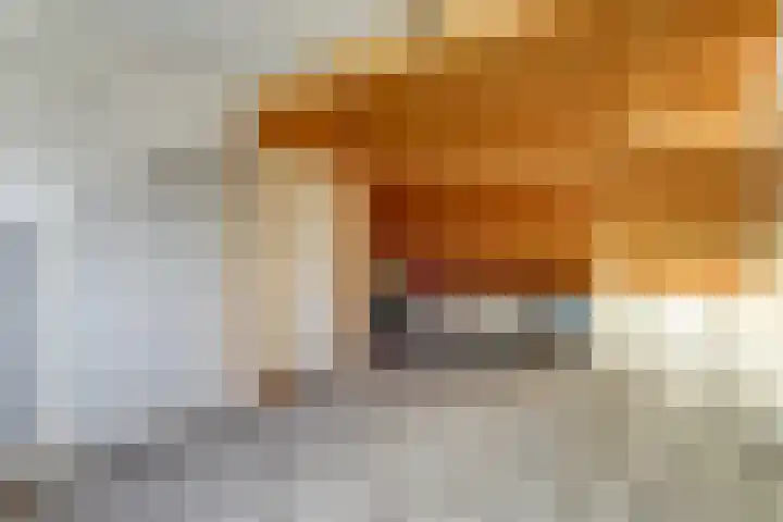 Zwanensingel 283 Wijchen thumbnail 35
