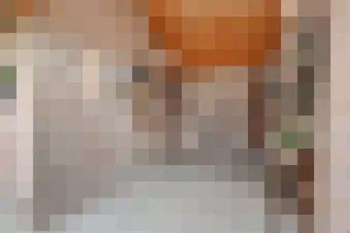 Zwanensingel 283 Wijchen thumbnail 43