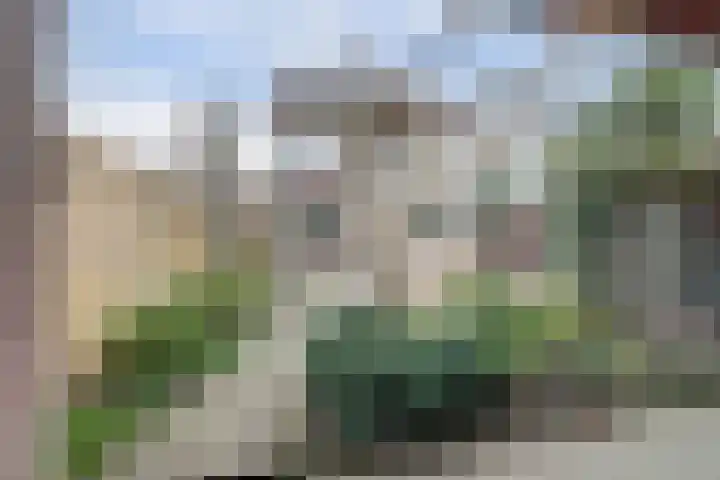 Zwanensingel 283 Wijchen thumbnail 44