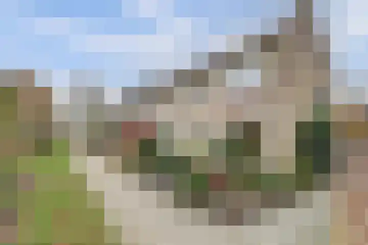 Zwanensingel 283 Wijchen thumbnail 45