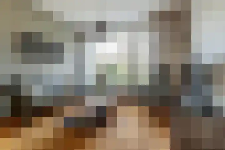 Zwanensingel 283 Wijchen thumbnail 5