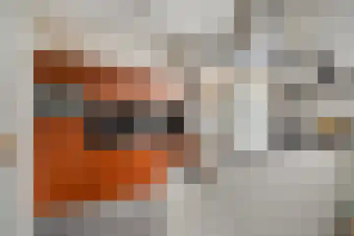Zwanensingel 71 Wijchen thumbnail 12
