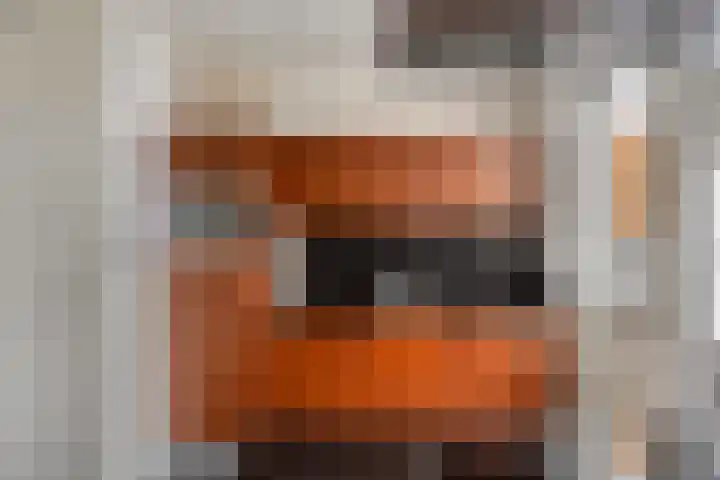 Zwanensingel 71 Wijchen thumbnail 13