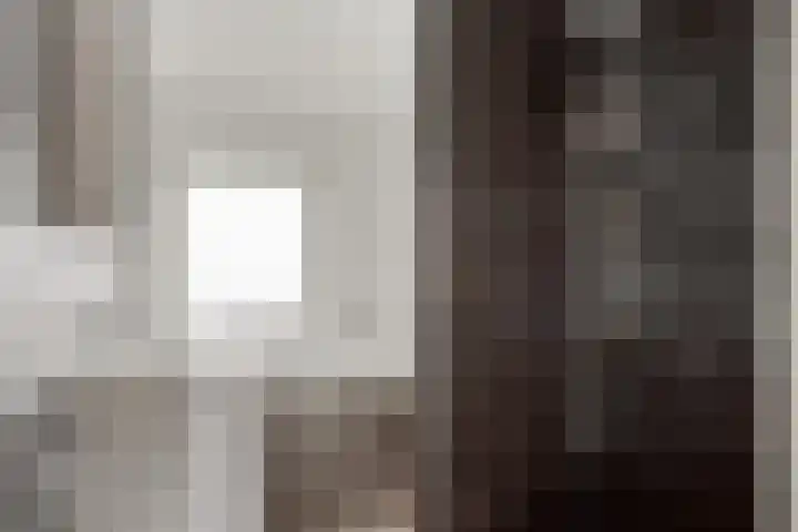 Zwanensingel 71 Wijchen thumbnail 18