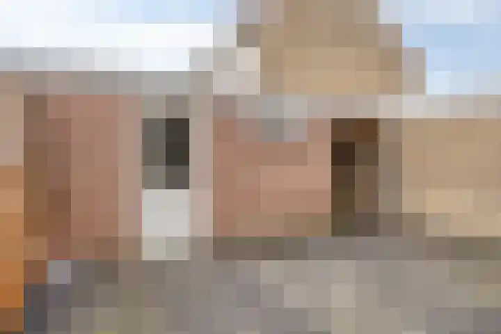 Zwanensingel 71 Wijchen thumbnail 32