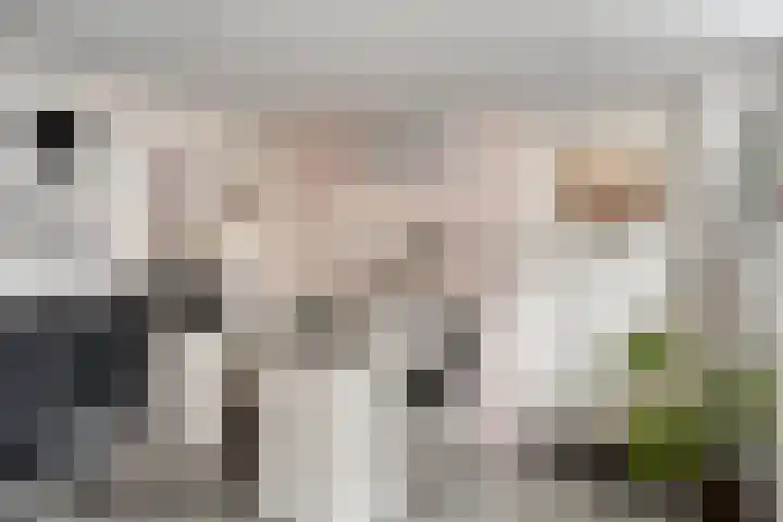 Zwanensingel 71 Wijchen thumbnail 36