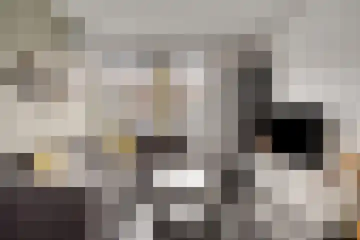 Zwanensingel 71 Wijchen thumbnail 6