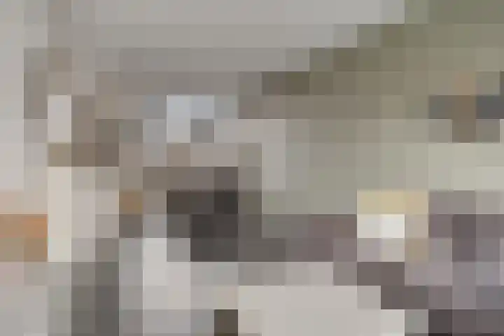 Zwanensingel 71 Wijchen thumbnail 7