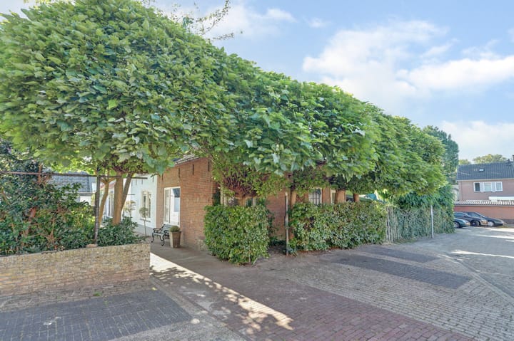 Zwanesteeg 6 in Raamsdonksveer foto