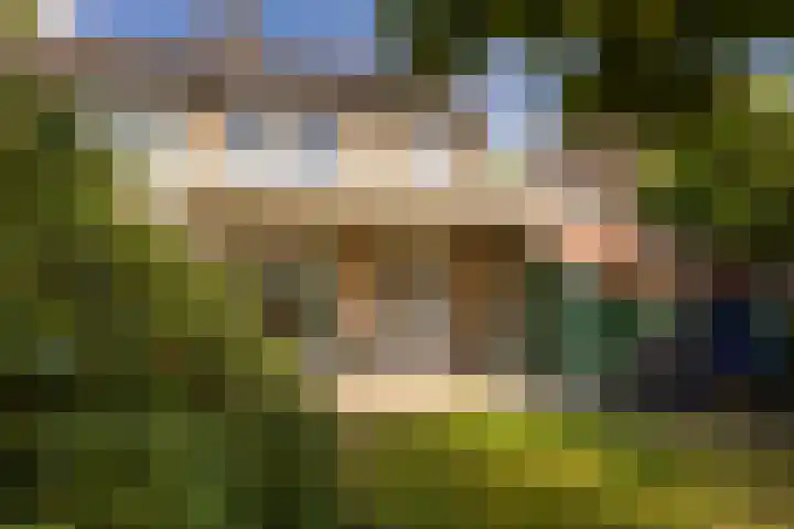 Zwartdriesstraat 35 Stein thumbnail 35