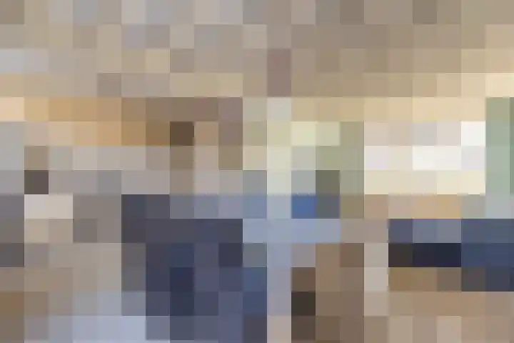 Zwarte Berk 18 Zundert thumbnail 15