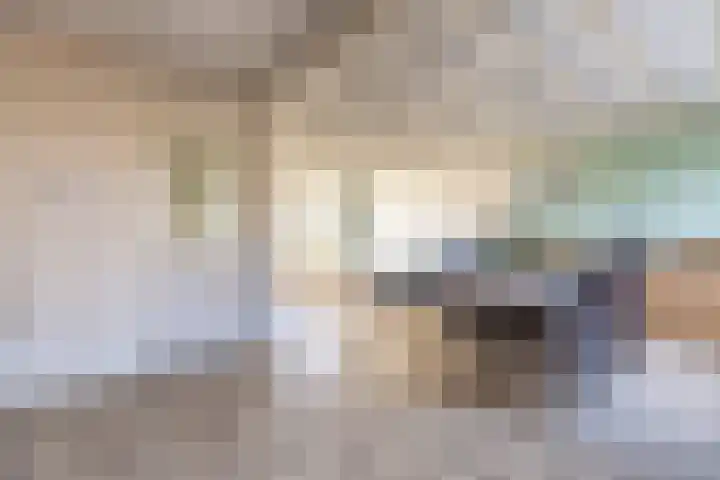 Zwarte Berk 18 Zundert thumbnail 16