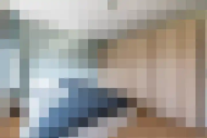 Zwarte Berk 18 Zundert thumbnail 21