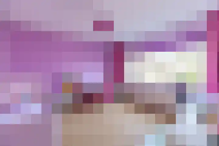Zwarte Berk 18 Zundert thumbnail 23