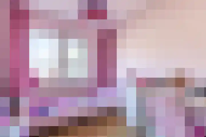 Zwarte Berk 18 Zundert thumbnail 25