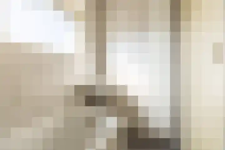 Zwarte Berk 18 Zundert thumbnail 28