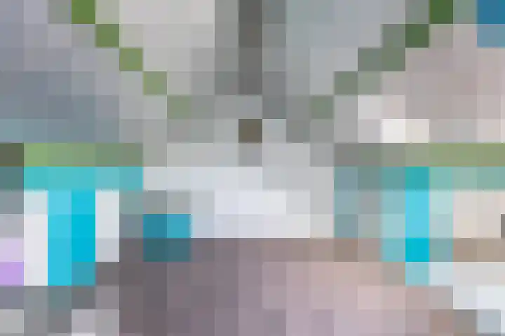 Zwarte Berk 18 Zundert thumbnail 30