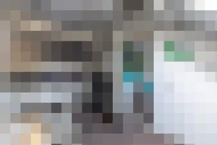 Zwarte Berk 18 Zundert thumbnail 32