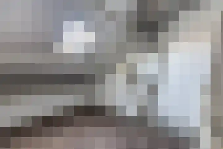 Zwarte Berk 18 Zundert thumbnail 33