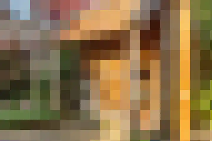 Zwarte Berk 18 Zundert thumbnail 37