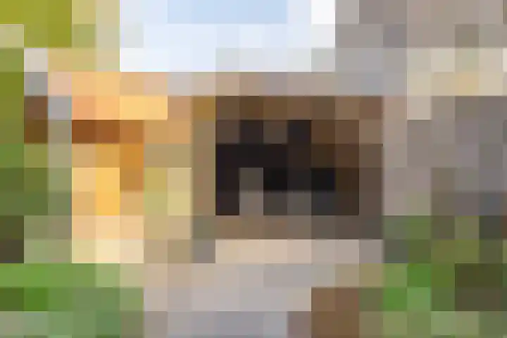 Zwarte Berk 18 Zundert thumbnail 38