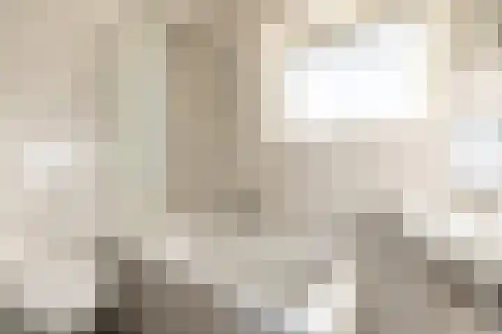 Zwarte Berk 18 Zundert thumbnail 4