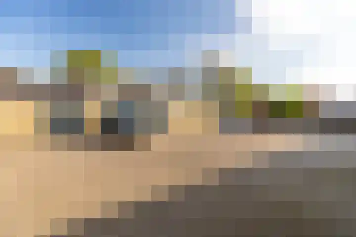 Zwarte Berk 18 Zundert thumbnail 41