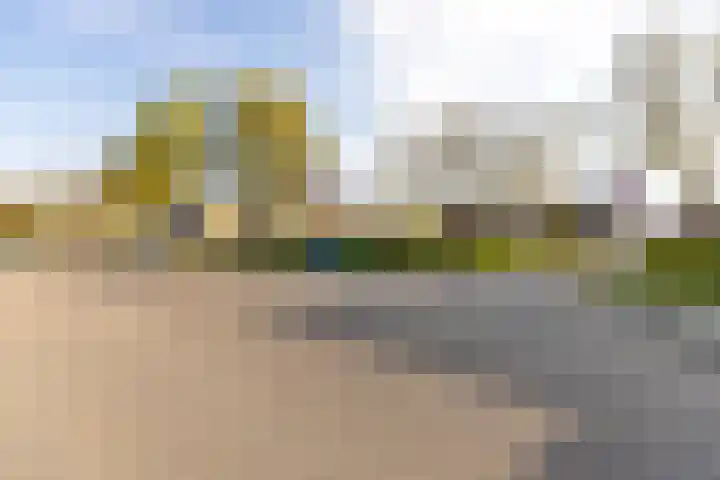 Zwarte Berk 18 Zundert thumbnail 42