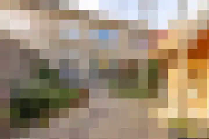 Zwarte Berk 18 Zundert thumbnail 5