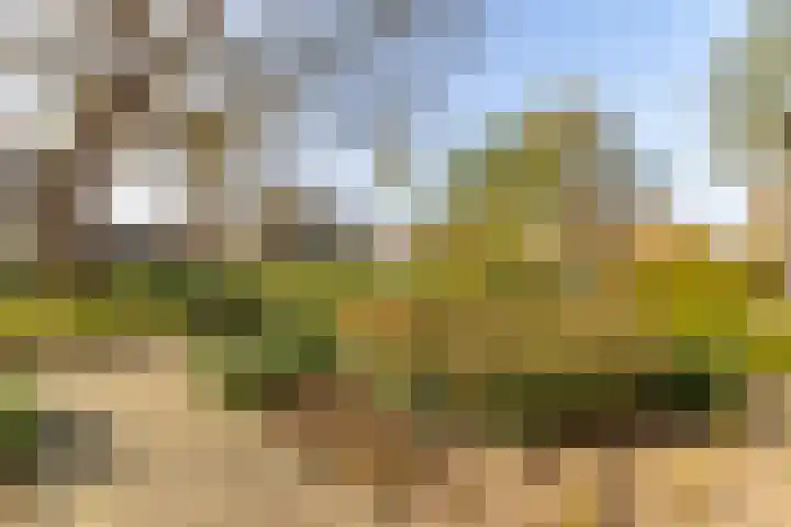 Zwarte Berk 18 Zundert thumbnail 7