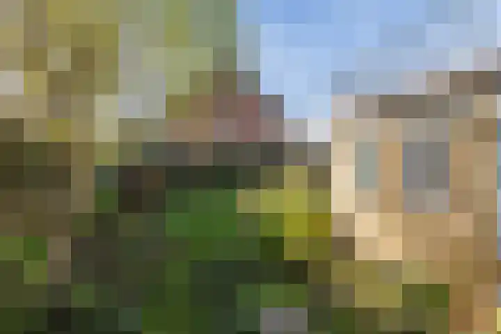 Zwarte Graaf 5 Doenrade thumbnail 27