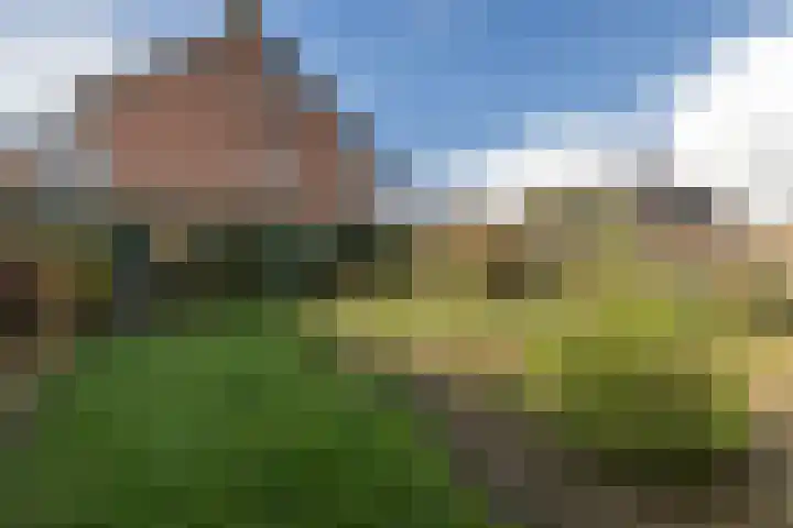 Zwarte Graaf 5 Doenrade thumbnail 28