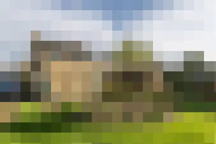 Zwarte Graaf 5 Doenrade thumbnail 29