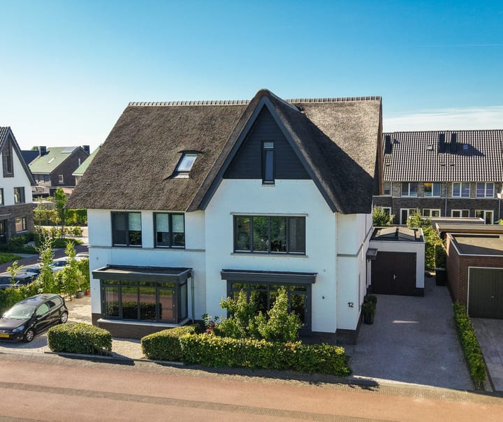 Zwarte Roodstaart 12 in Woudenberg foto