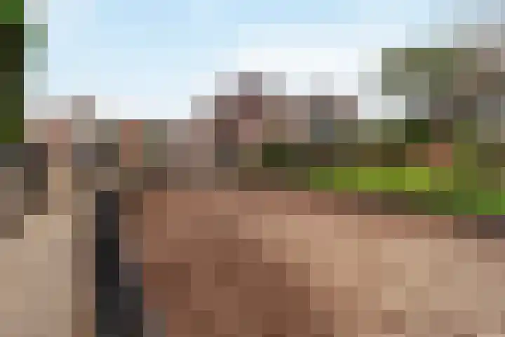 Zwartendijk 29 Monster thumbnail 31