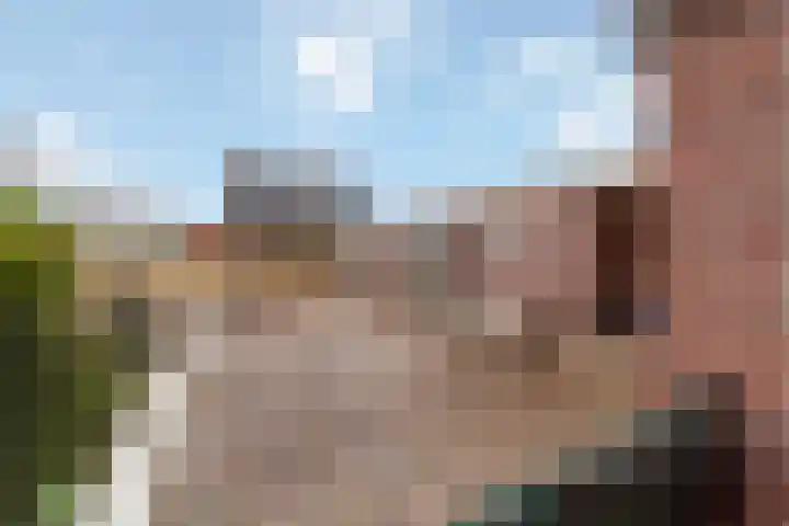 Zwartendijk 29 Monster thumbnail 32