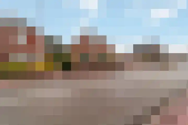 Zwartendijk 29 Monster thumbnail 40
