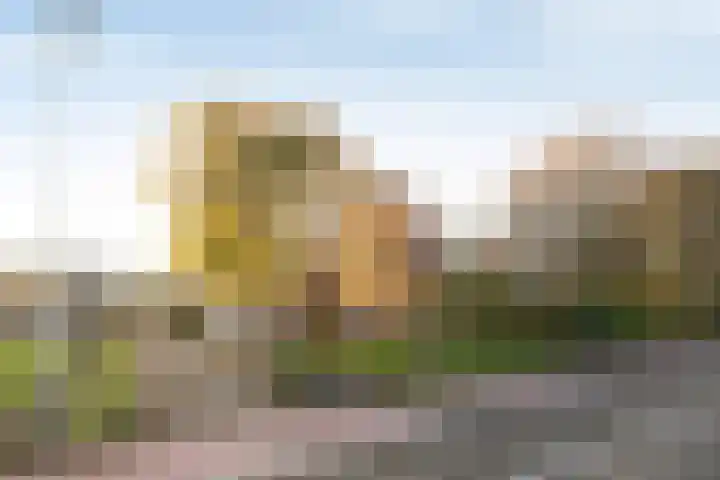 Zwartendijk 41 Monster thumbnail 5